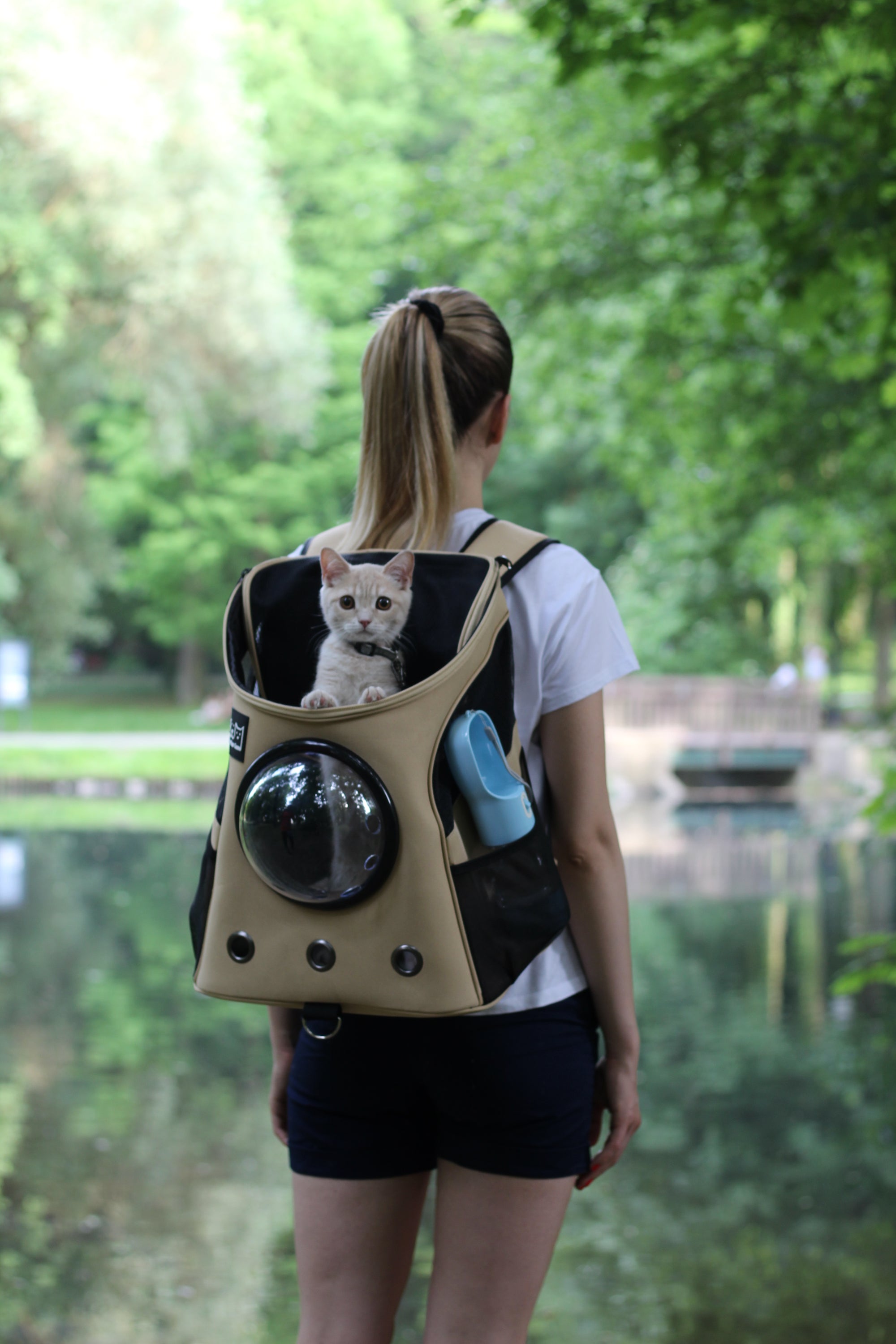Pet Bubble Backpack with transparent dome, designed for small pets, featuring adjustable straps and side pouch.