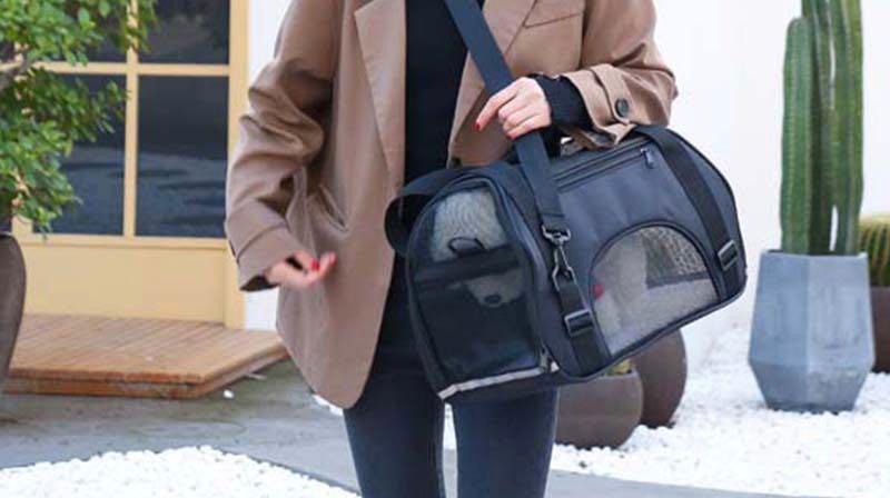 A stylish pet carrier handbag designed for comfort and safety, featuring a transparent design and ventilation holes for pets.