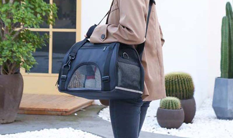 A stylish pet carrier handbag designed for comfort and safety, featuring a transparent design and ventilation holes for pets.