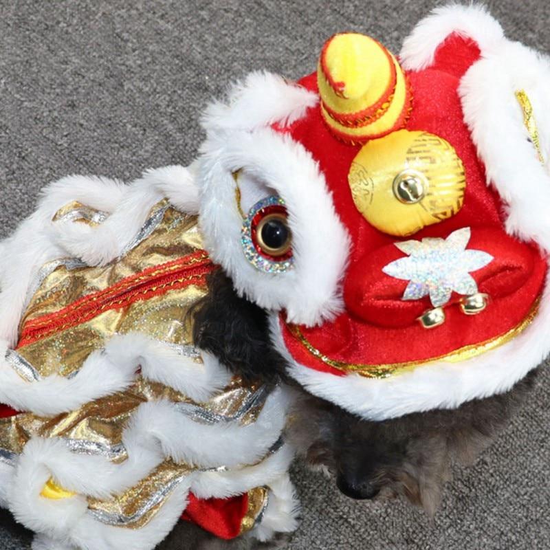 A small cat wearing a funny dragon dance design costume, showcasing vibrant colors and a cozy hoodie, perfect for winter warmth.