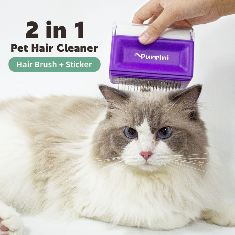 A detailed view of the Pet Comb Automatic Hair Removal Comb, showcasing its ergonomic design and self-cleaning feature for effective pet grooming.