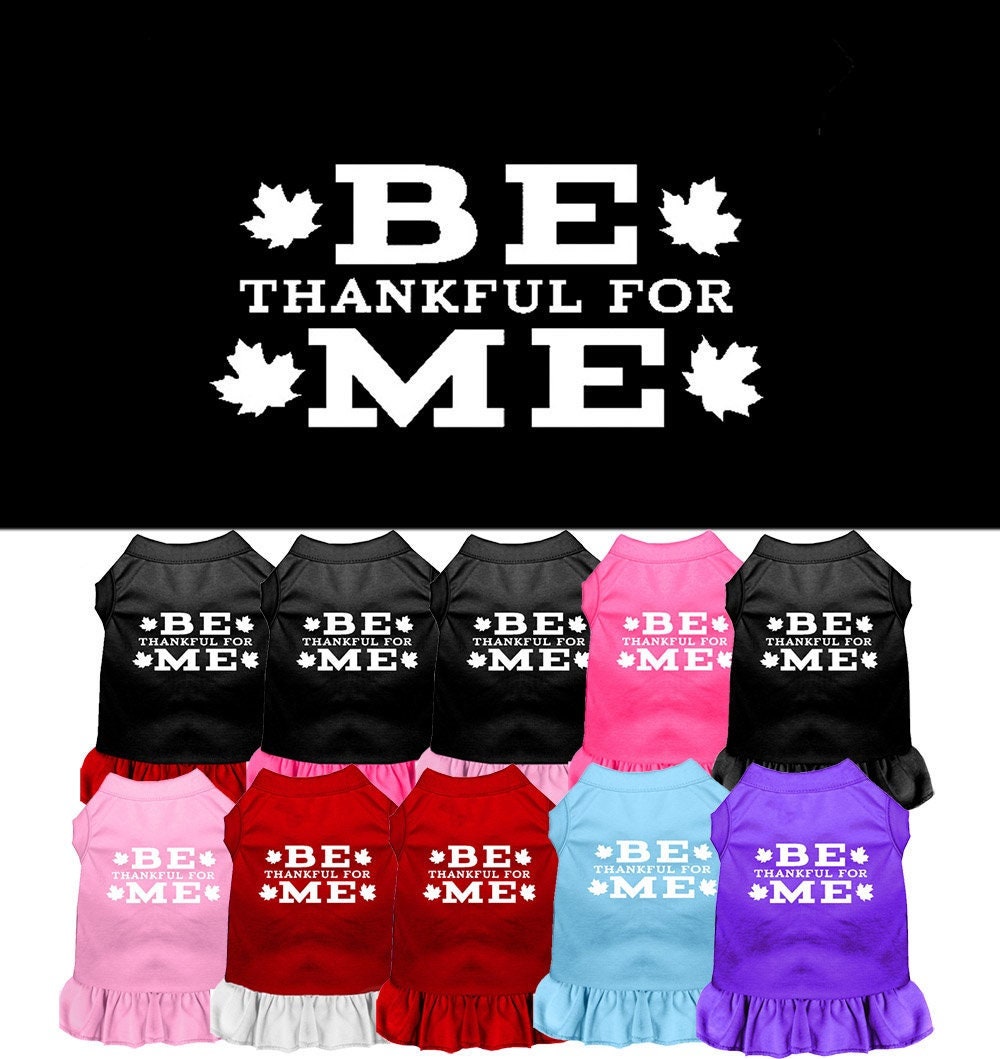 A cute pet dress for dogs and cats, featuring the phrase 'Be Thankful For Me' in a stylish screen print, made from soft cotton and polyester blend.