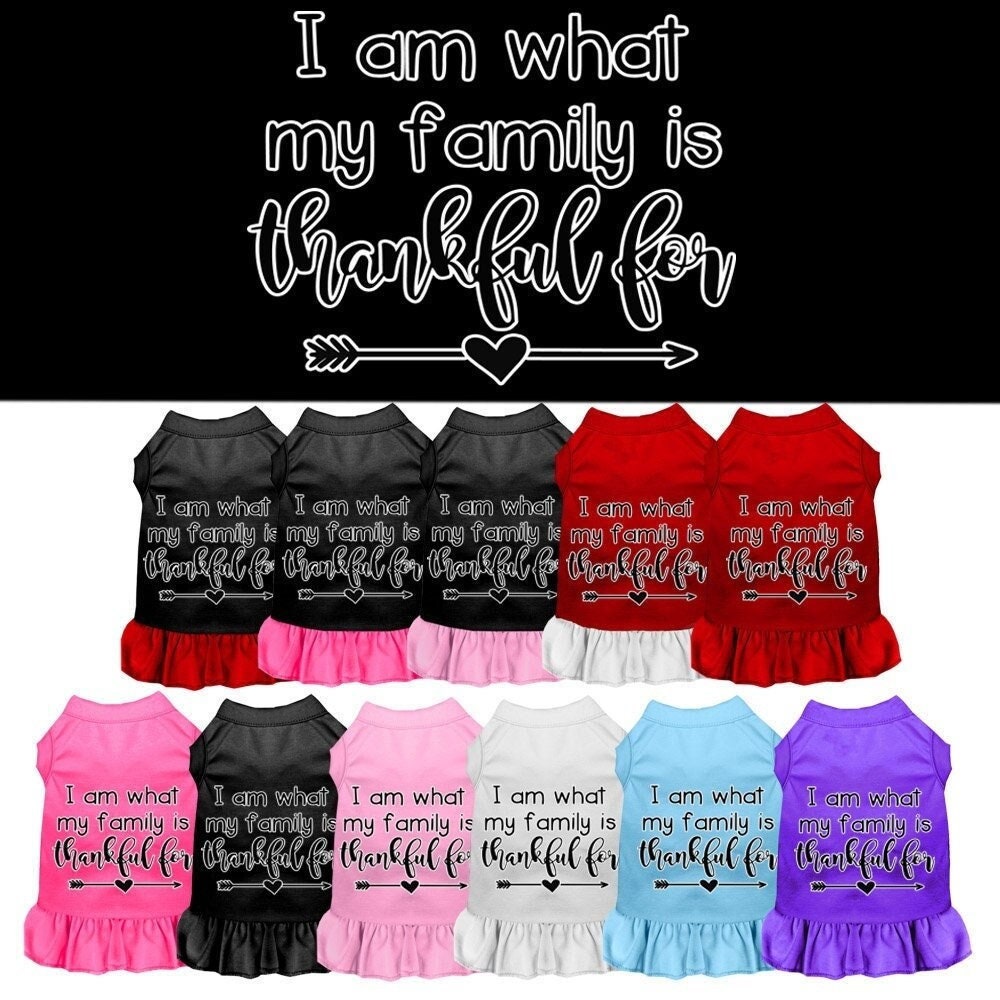 A cute pet dog and cat dress featuring the phrase 'I Am What My Family Is Thankful For', made from soft cotton and polyester blend.