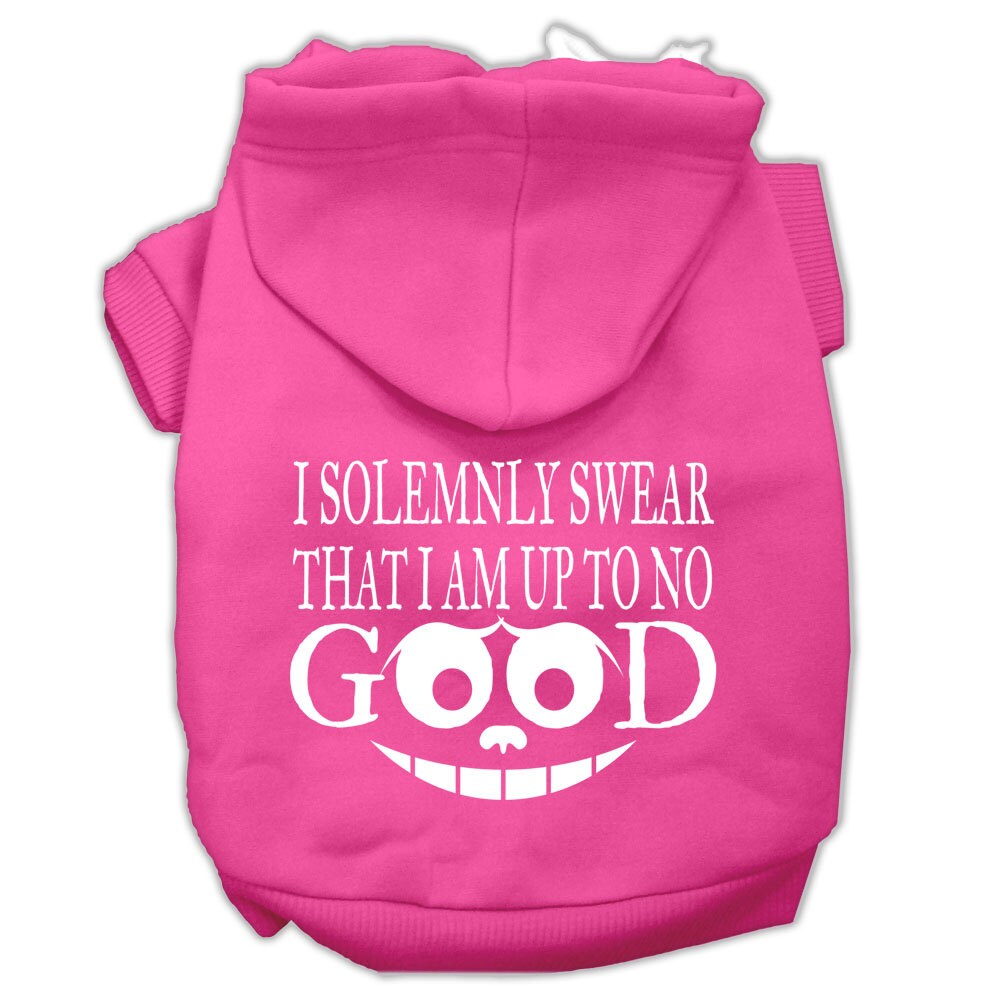 A cozy pet hoodie for dogs and cats, featuring the phrase 'I Solemnly Swear That I Am Up To No Good', showcasing its soft fabric and stylish design.