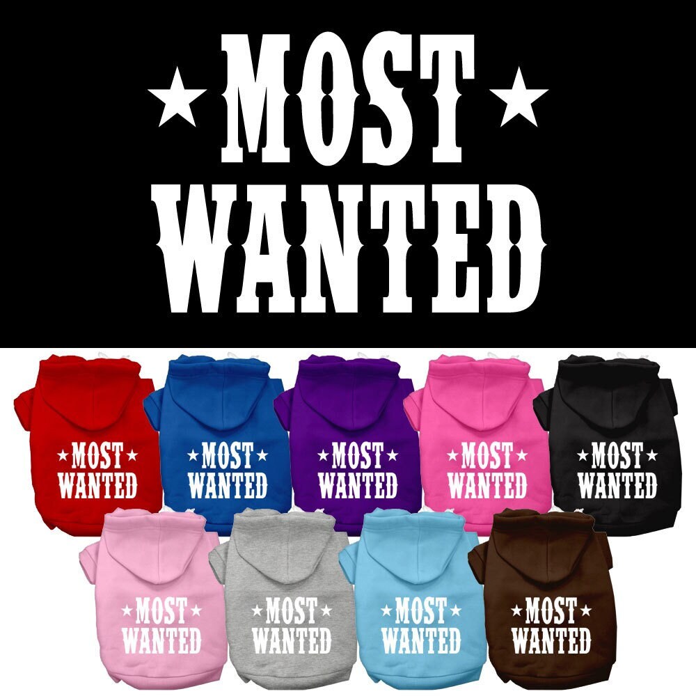 A stylish pet hoodie for dogs and cats, screen printed with 'Most Wanted', showcasing its soft fabric and durable design.