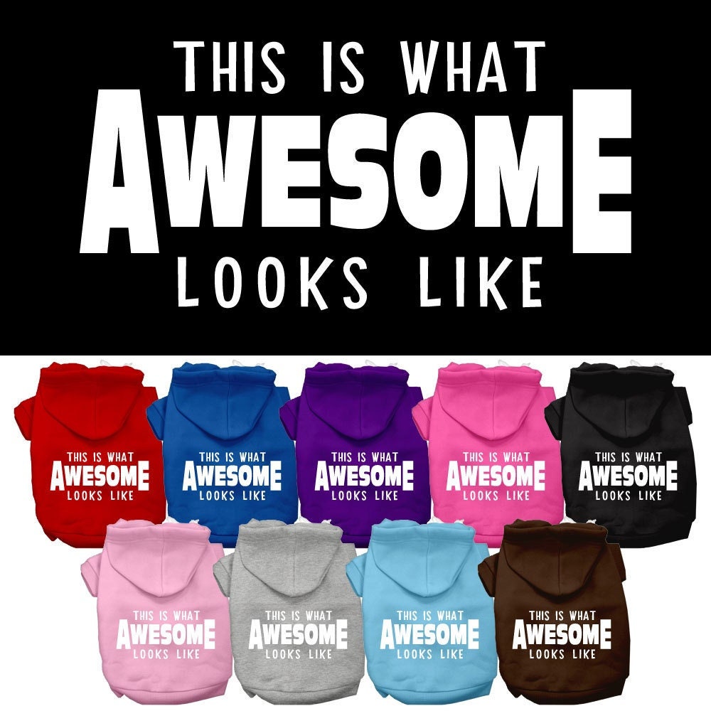 A stylish pet hoodie for dogs and cats, featuring the phrase 'This Is What Awesome Looks Like' in vibrant print, showcasing its soft fabric and durable design.