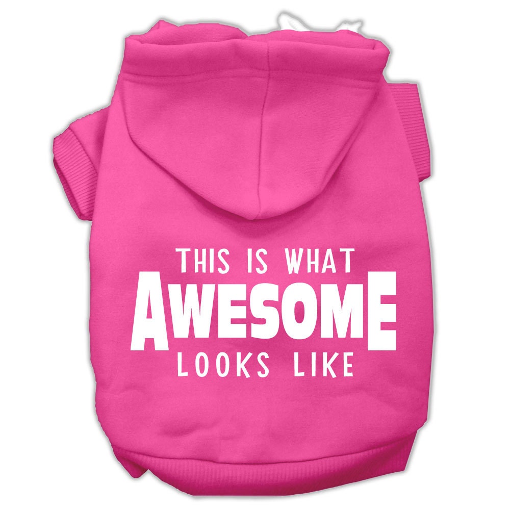 A stylish pet hoodie for dogs and cats, featuring the phrase 'This Is What Awesome Looks Like' in vibrant print, showcasing its soft fabric and durable design.
