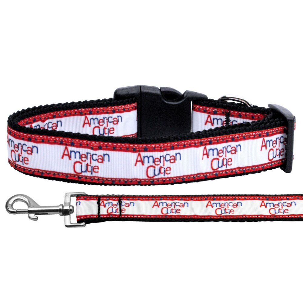 A stylish nylon collar and leash set for dogs and cats, featuring a vibrant ribbon design and adjustable buckles.