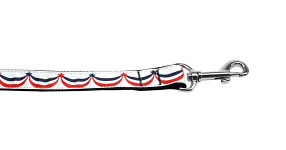 Stylish nylon collar and leash for pets featuring American Swag design, showcasing military-grade nylon and vibrant ribbon.
