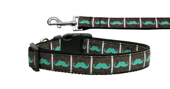 Aqua Moustaches nylon collar and leash for pets, featuring a stylish design with vibrant colors and durable construction.