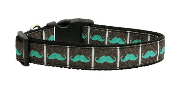 Aqua Moustaches nylon collar and leash for pets, featuring a stylish design with vibrant colors and durable construction.