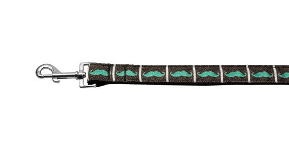 Aqua Moustaches nylon collar and leash for pets, featuring a stylish design with vibrant colors and durable construction.