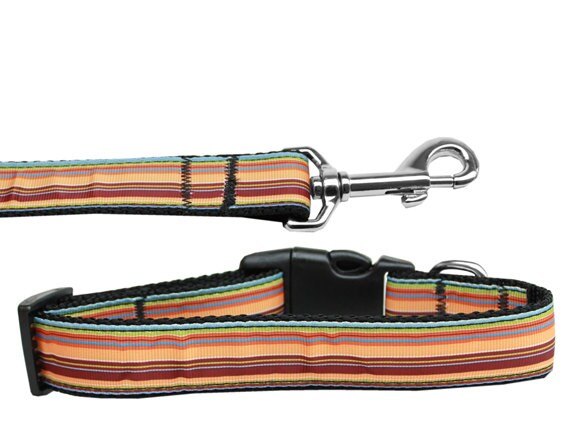 Pet dog and cat nylon collar or leash featuring autumn stripes design, showcasing vibrant colors and durable construction.
