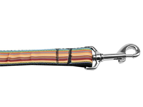 Pet dog and cat nylon collar or leash featuring autumn stripes design, showcasing vibrant colors and durable construction.