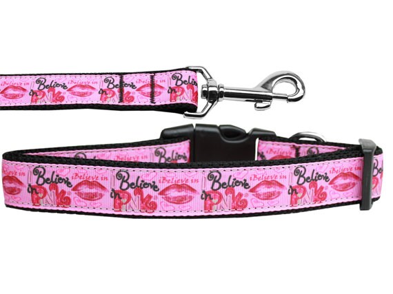 A stylish pink nylon collar and leash set for dogs and cats, featuring a durable design and high-quality ribbon stitching.