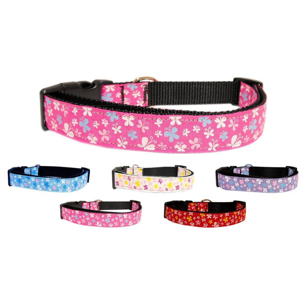 A stylish nylon collar and leash for pets featuring a butterfly design, showcasing durability and safety features.