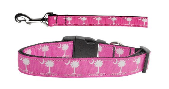 Stylish nylon collar and leash for pets, featuring a fashionable ribbon design in vibrant colors, perfect for dogs and cats.