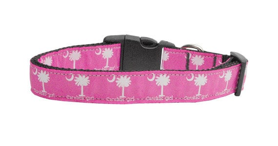 Stylish nylon collar and leash for pets, featuring a fashionable ribbon design in vibrant colors, perfect for dogs and cats.