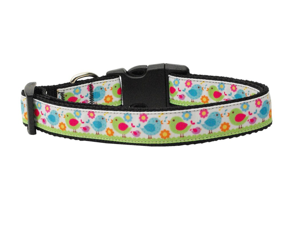 A colorful nylon collar and leash set for pets featuring a 'Chirpy Chicks' design, showcasing vibrant colors and durable materials.