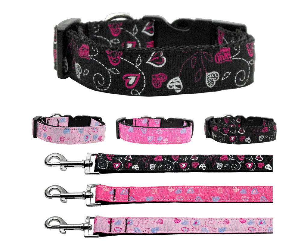 A vibrant nylon collar and leash set for pets featuring a colorful 'Crazy Hearts' design, showcasing durability and style.
