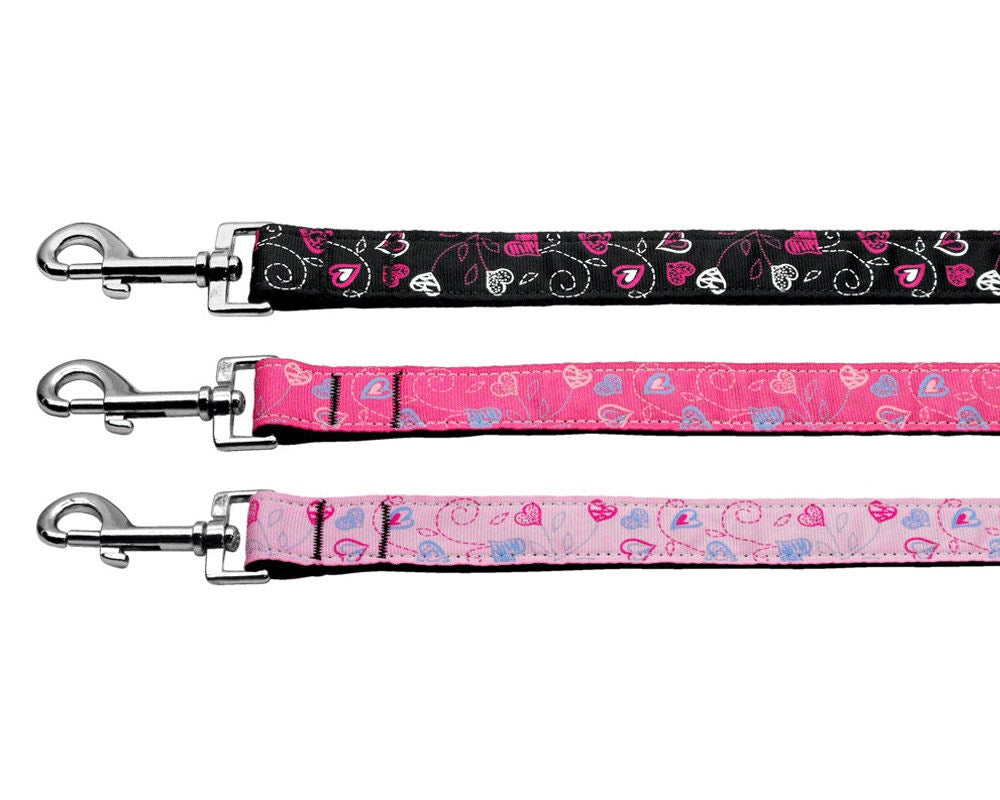 A vibrant nylon collar and leash set for pets featuring a colorful 'Crazy Hearts' design, showcasing durability and style.