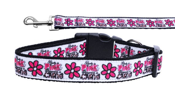 Pet dog and cat nylon collar and leash in camo design, showcasing military-grade durability and stylish ribbon.