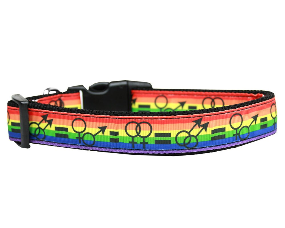 Stylish nylon collar and leash set for dogs and cats, featuring a vibrant ribbon design and durable military-grade nylon material.