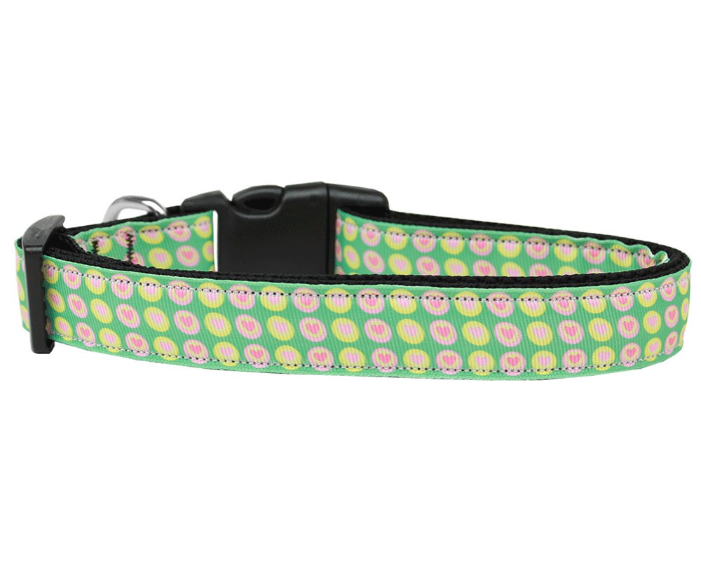 A stylish nylon collar and leash set for dogs and cats, featuring a colorful ribbon design and adjustable buckles for comfort and safety.
