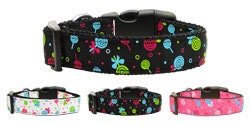 Colorful nylon collar and leash set for dogs and cats, featuring a stylish ribbon design and adjustable buckles.