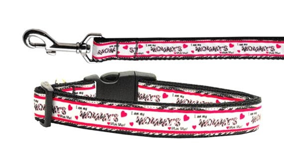 Stylish nylon collar and leash set for pets, featuring a fashionable ribbon design and adjustable buckles.