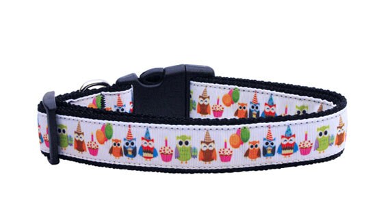 Colorful nylon collar and leash for pets featuring a playful 'Party Owls' design, showcasing durability and style.