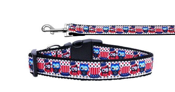 A stylish nylon collar and leash set featuring a Proud Owls design, suitable for both dogs and cats, showcasing vibrant colors and durable materials.