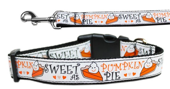 A stylish pumpkin pie patterned nylon collar and leash for dogs and cats, showcasing its durable design and vibrant colors.