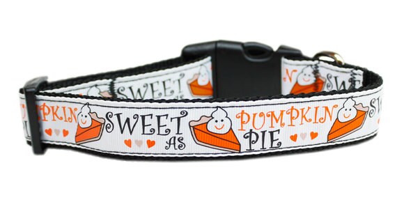 A stylish pumpkin pie patterned nylon collar and leash for dogs and cats, showcasing its durable design and vibrant colors.