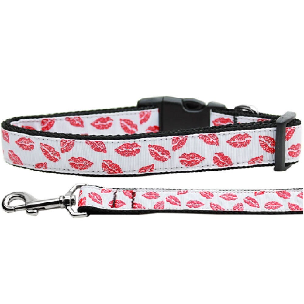 A stylish nylon collar and leash set for dogs and cats, featuring a vibrant ribbon design, adjustable buckles, and a breakaway safety feature for cats.