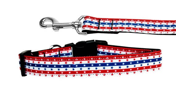 Stylish nylon collar and leash for pets featuring a vibrant Stars and Stripes design, suitable for both dogs and cats.