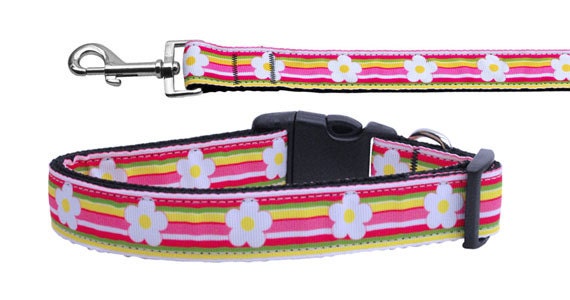 A stylish striped daisy nylon collar and leash for dogs and cats, showcasing vibrant colors and durable design.