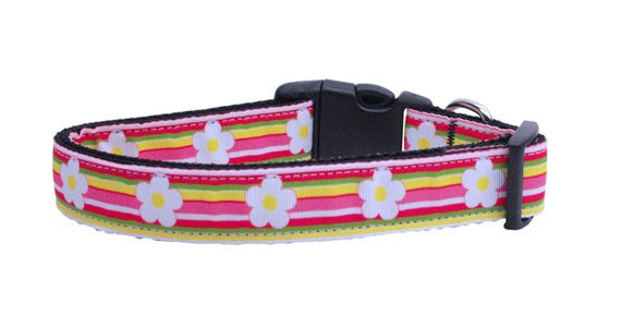 A stylish striped daisy nylon collar and leash for dogs and cats, showcasing vibrant colors and durable design.