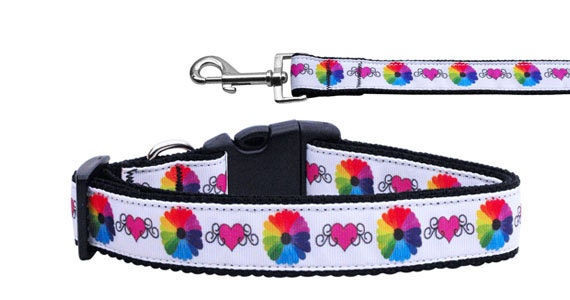Colorful nylon collar and leash set for dogs and cats, featuring a vibrant design and durable materials.