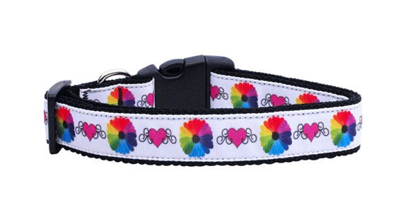 Colorful nylon collar and leash set for dogs and cats, featuring a vibrant design and durable materials.