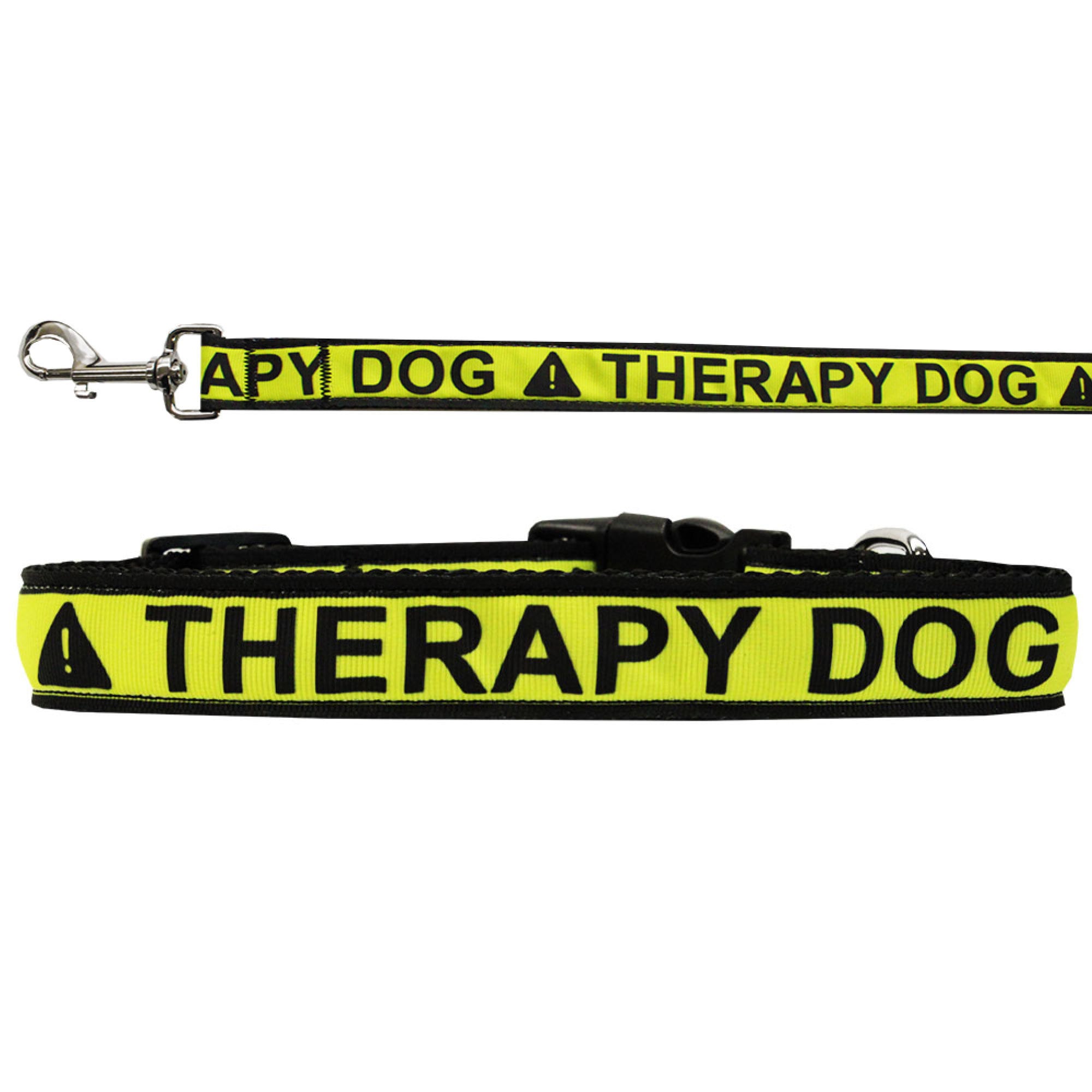 A stylish nylon collar and leash set for therapy dogs and cats, featuring military-grade nylon and a fashionable ribbon design.
