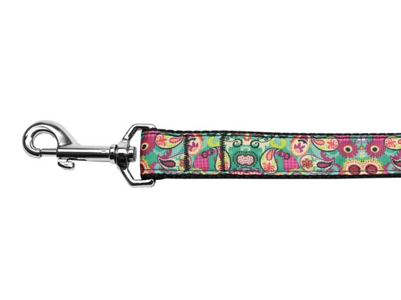 Turquoise Paisley nylon collar and leash for dogs and cats, showcasing a stylish design with durable materials.