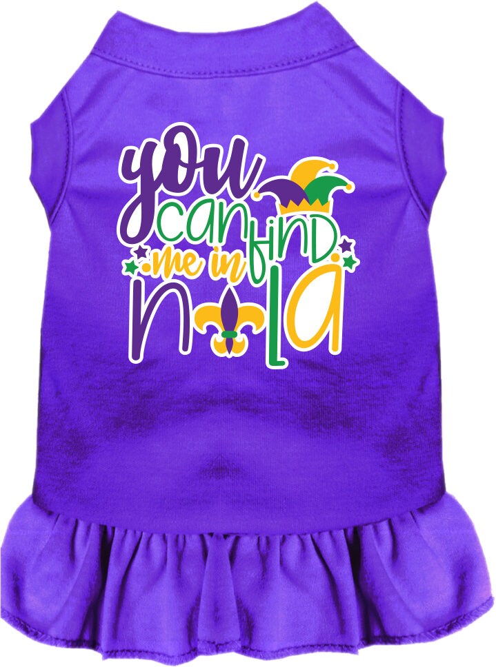 A small to medium pet wearing a stylish screen printed dress with ruffles, featuring the text 'You Can Find Me In Nola'.