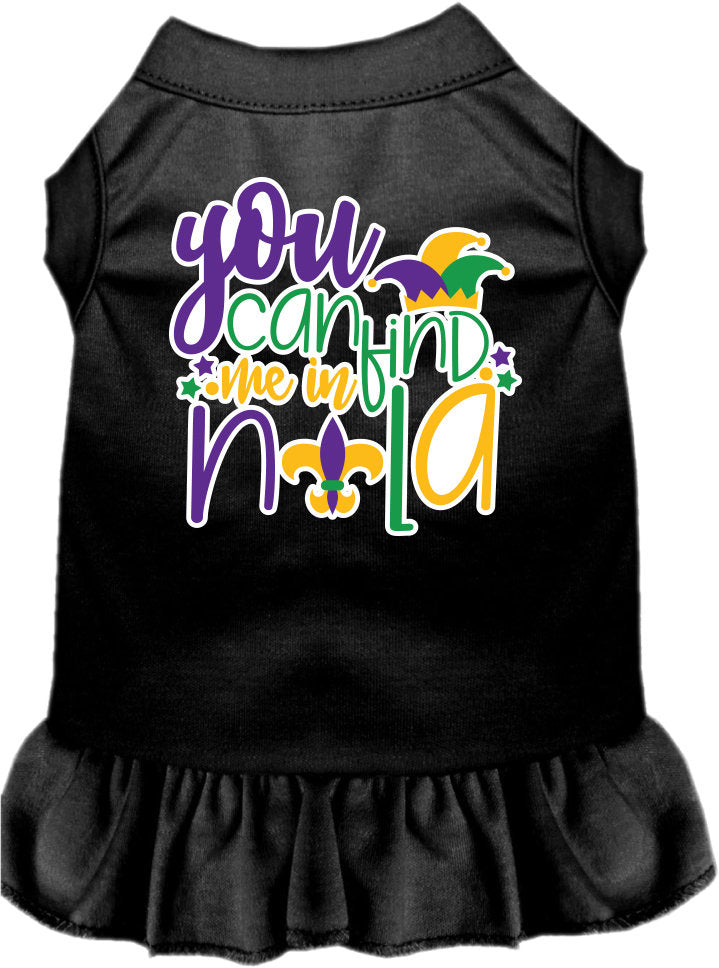 A small to medium pet wearing a stylish screen printed dress with ruffles, featuring the text 'You Can Find Me In Nola'.