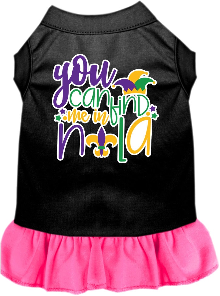 A small to medium pet wearing a stylish screen printed dress with ruffles, featuring the text 'You Can Find Me In Nola'.
