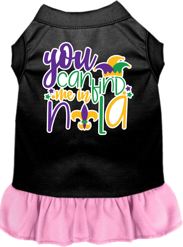 A small to medium pet wearing a stylish screen printed dress with ruffles, featuring the text 'You Can Find Me In Nola'.