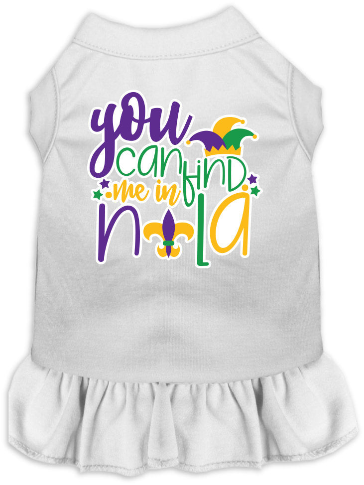A small to medium pet wearing a stylish screen printed dress with ruffles, featuring the text 'You Can Find Me In Nola'.
