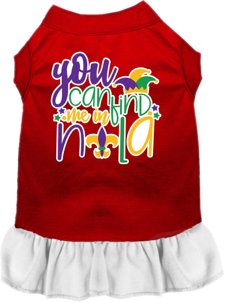 A small to medium pet wearing a stylish screen printed dress with ruffles, featuring the text 'You Can Find Me In Nola'.