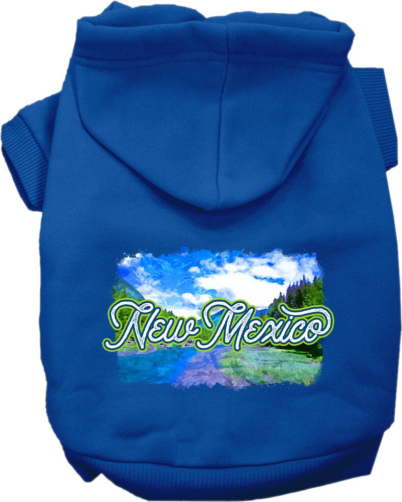 A medium to large pet wearing a soft, warm screen printed hoodie with a New Mexico Summer design, showcasing its stylish and durable features.