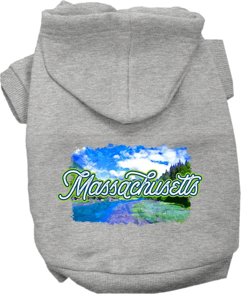 A cozy screen printed hoodie for medium to large pets, featuring a vibrant Massachusetts Summer design, perfect for dogs and cats.